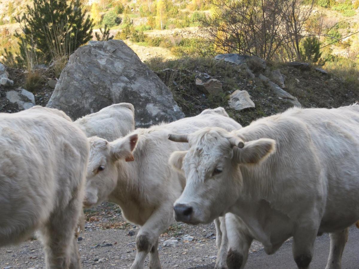 Casa Rural Borda Marianet Cerler Zewnętrze zdjęcie